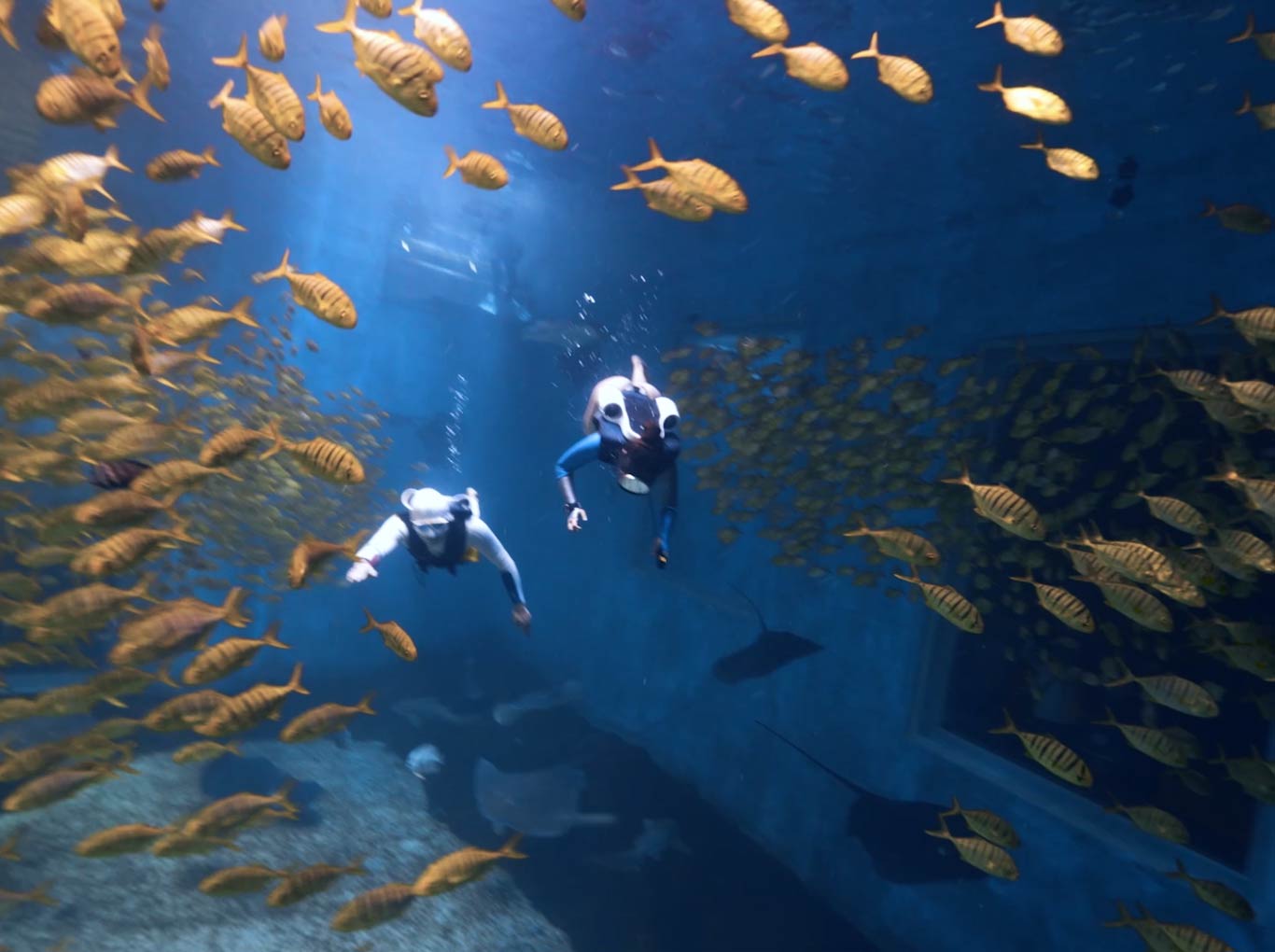 水下推進(jìn)器